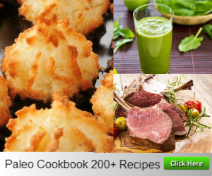 Paleo Happines Cookbook